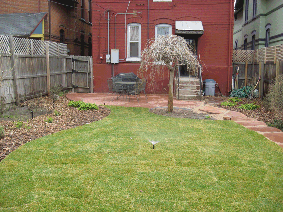 145w1stave-back_1c.gif