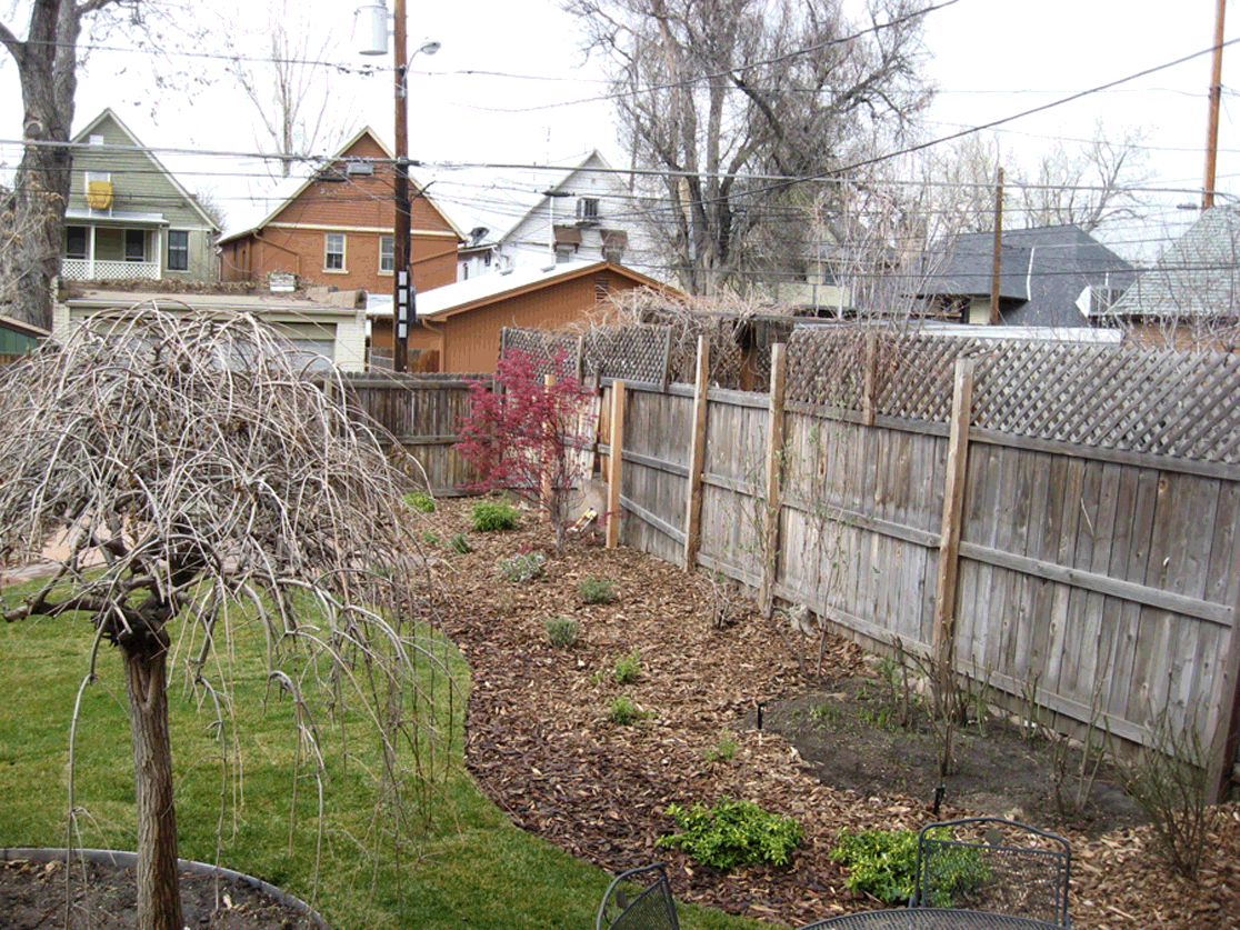 145w1stave-back_2r.gif