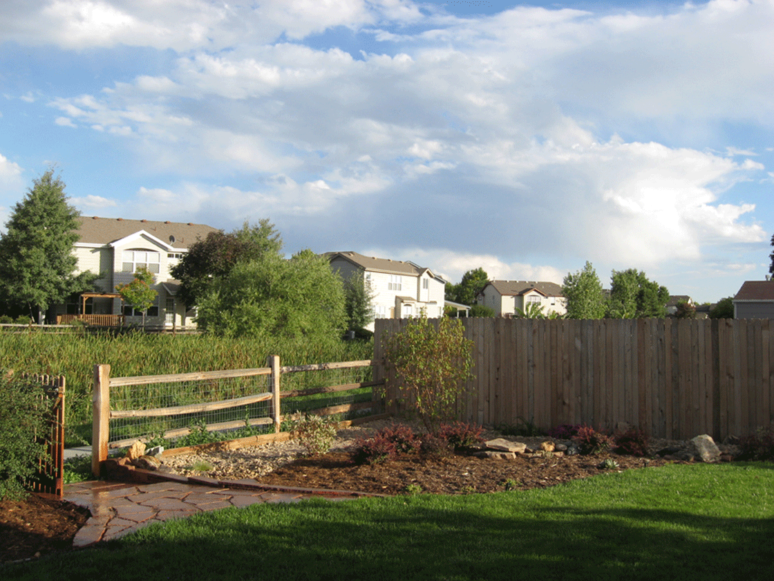 lubich_back_2_landscaped.gif