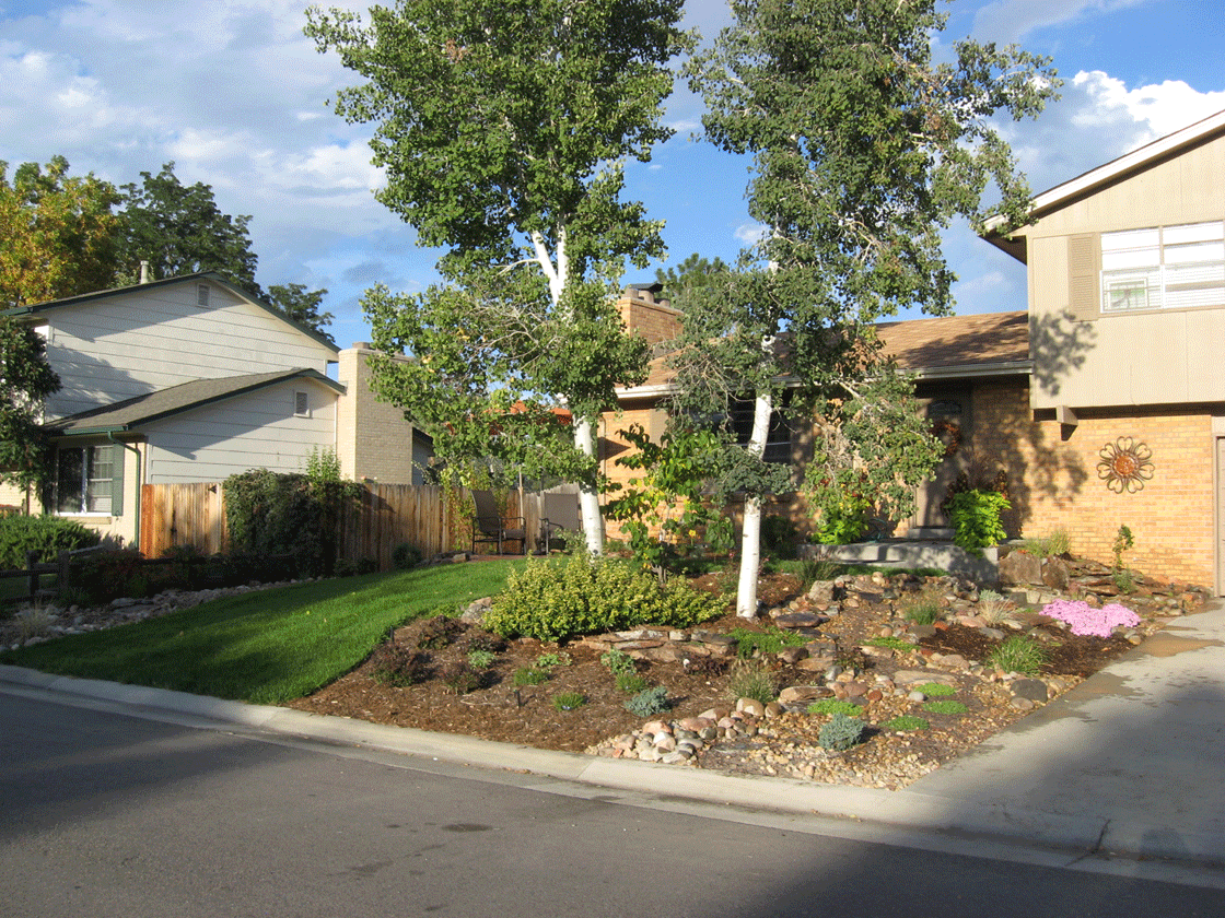 lubich_front_landscaped.gif