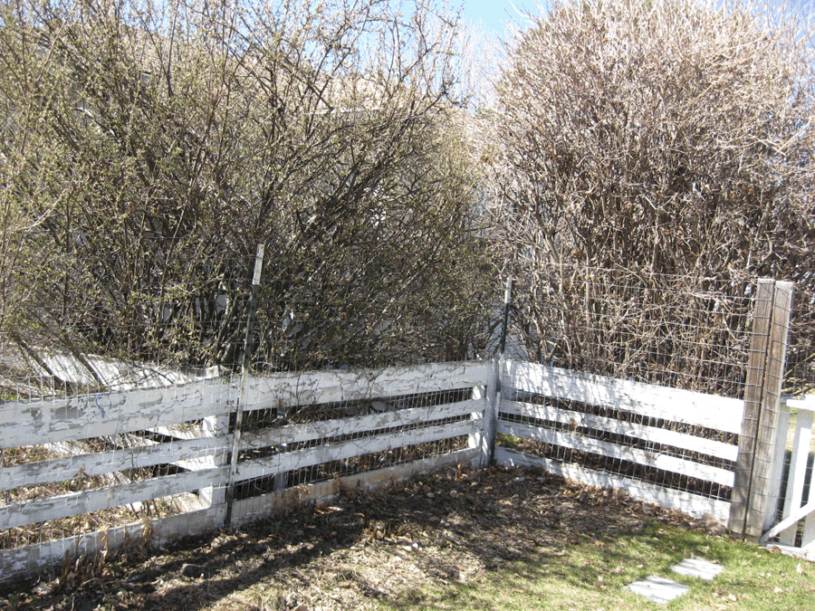 thompson-b4_fence_3.gif
